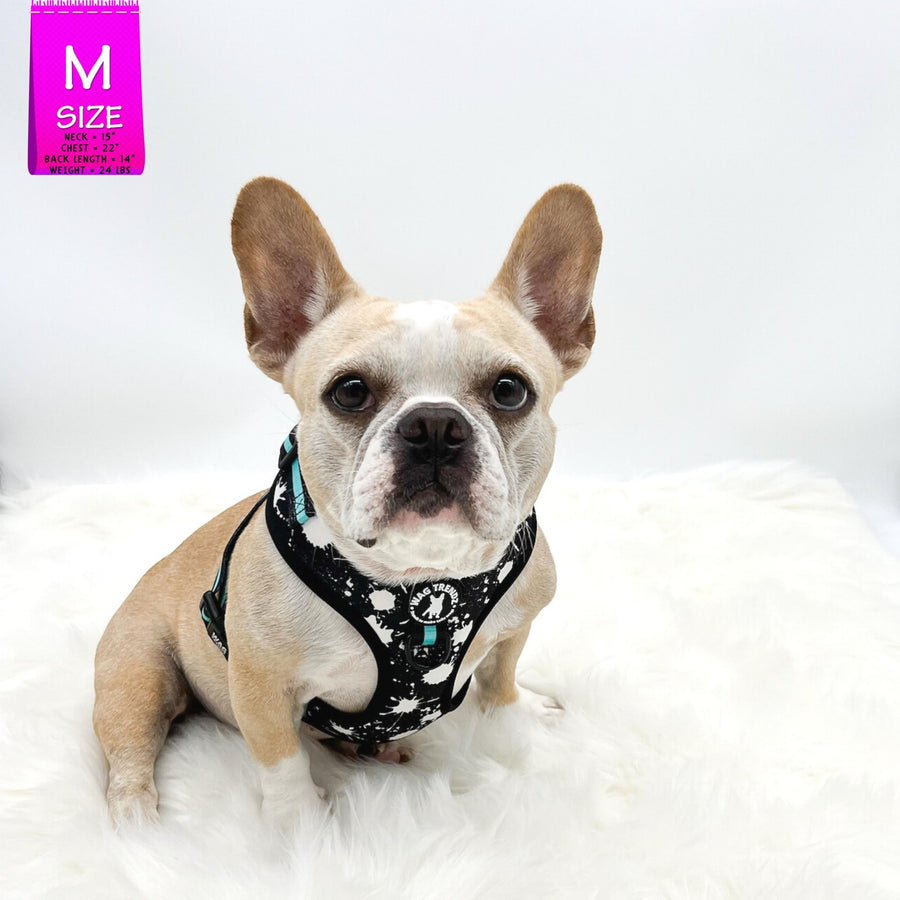Dog Harness Vest - No Pull - French Bulldog wearing black adjustable harness with white paint splatter and teal accents - front clip for no pull training - against a solid white background - Wag Trendz