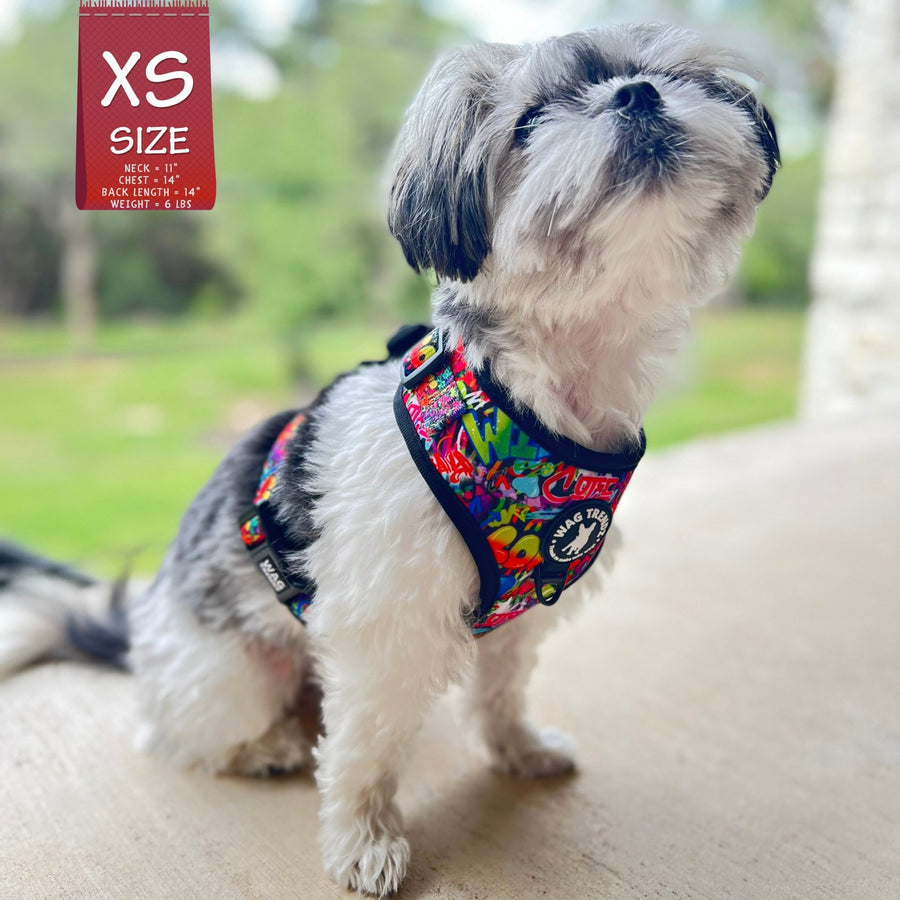 Dog Harness Vest - Adjustable - Front Clip - worn by cute small dog sitting outside - multi-colored street graffiti on dog harness - Wag Trendz