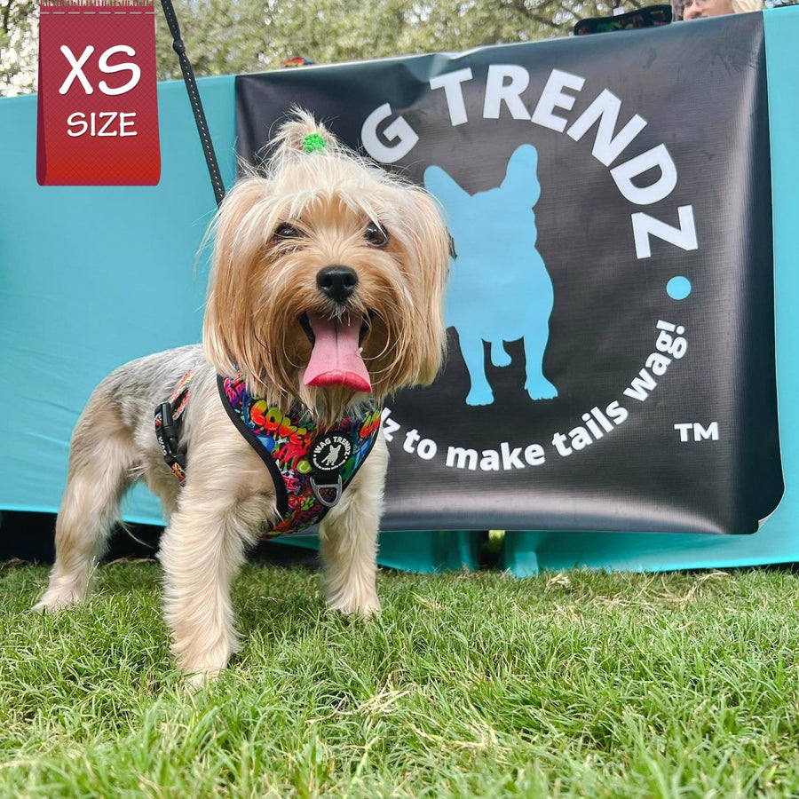 Dog Harness Vest - Adjustable - Front Clip - worn by cute Yorkie standing outside in the grass - multi-colored street graffiti design - Wag Trendz