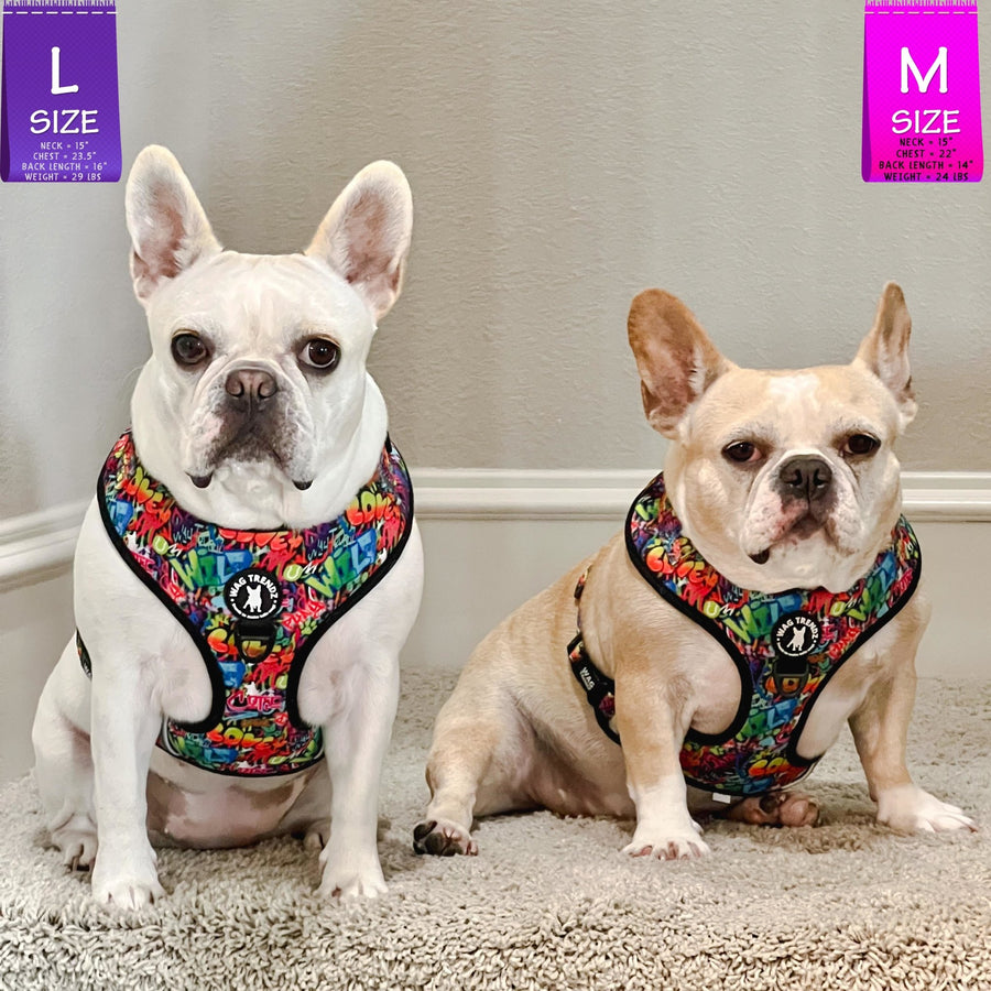 Dog Harness Vest - Adjustable - Front Clip - worn by two cute French Bulldogs sitting indoors - multi-colored street graffiti design - Wag Trendz
