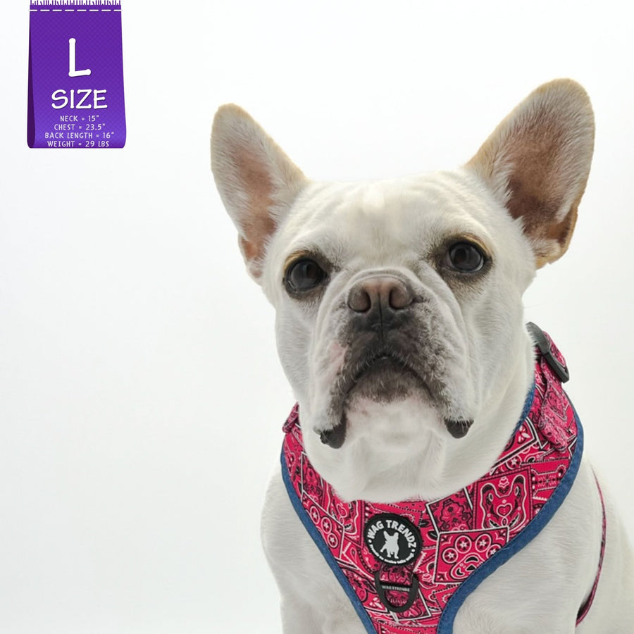 Dog Harness Vest - Adjustable - French Bulldog wearing Bandana Boujee Hot Pink Dog Harness with Denim Accents - against solid white background - Wag Trendz