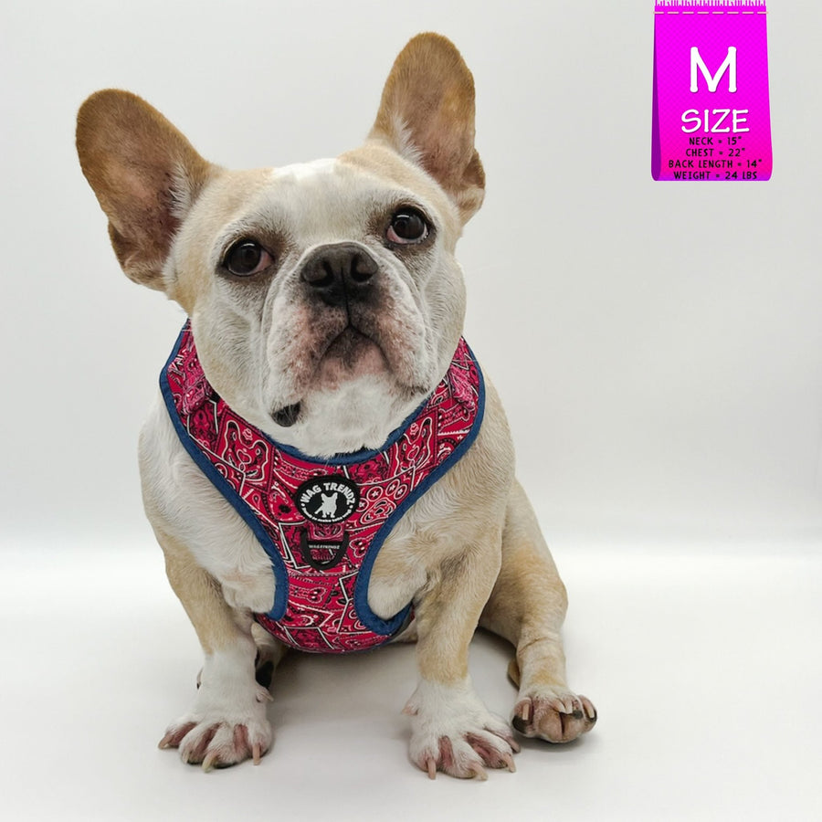 Dog Harness Vest - Adjustable - Fawn French Bulldog wearing Bandana Boujee Hot Pink Dog Harness with Denim Accents - against solid white background - Wag Trendz