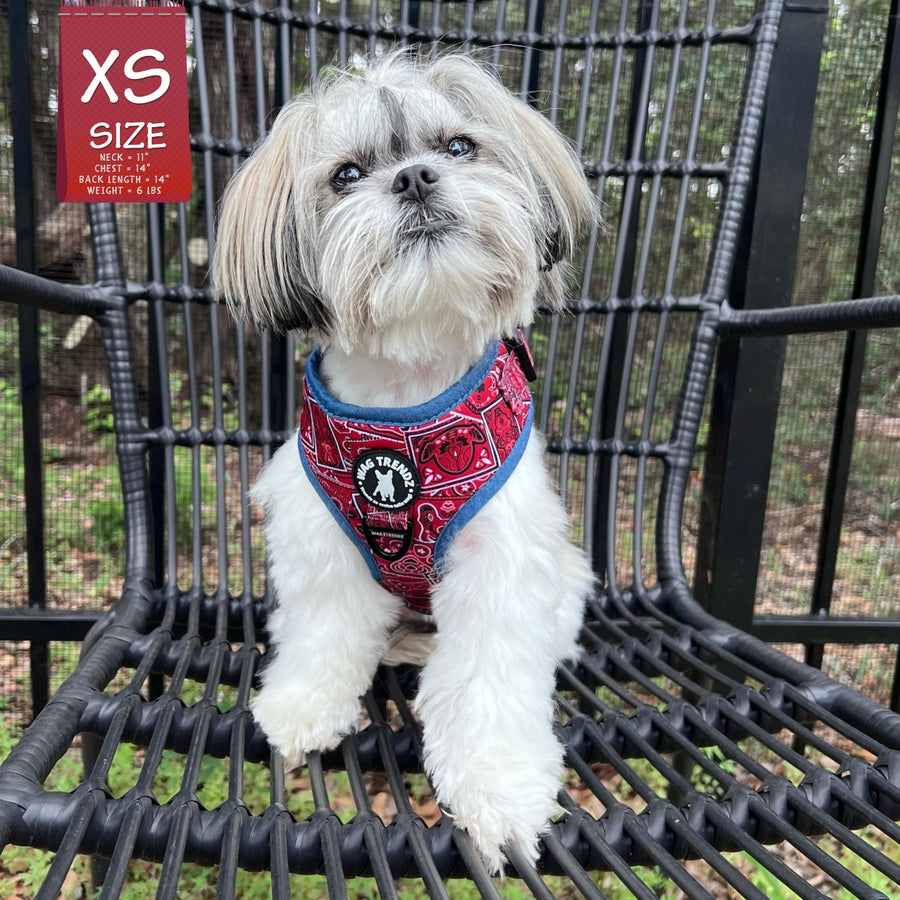 Dog Harness Vest - Adjustable - Shih Tzu wearing Red Bandana Boujee Harness with Denim Accents - a canine inspired design - sitting outdoors in a black chair  - Wag Trendz
