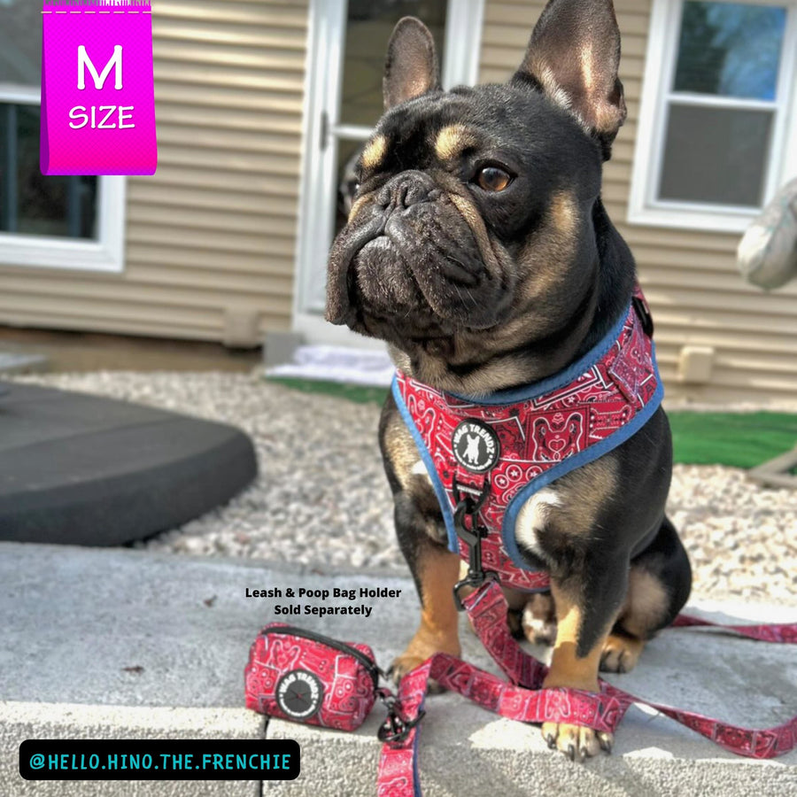 Dog Harness Vest - Adjustable - French Bulldog wearing Red Bandana Boujee Harness with Denim Accents - a canine inspired design - sitting outdoors with brown house in background - Wag Trendz