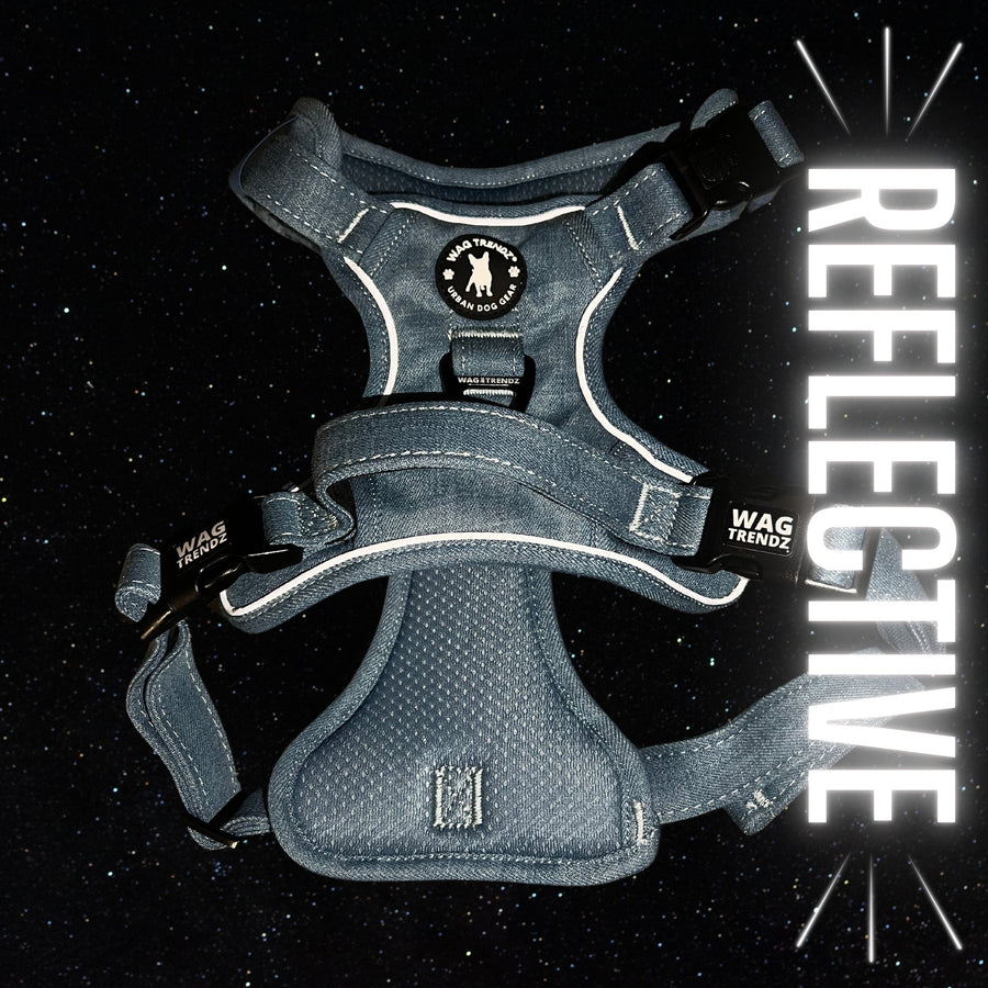 Dog Harness With Handle - No Pull - Downtown Denim Dog Harness with Handle - No Pull - against a black starry night background showing off the reflective accents of the harness - Wag Trendz