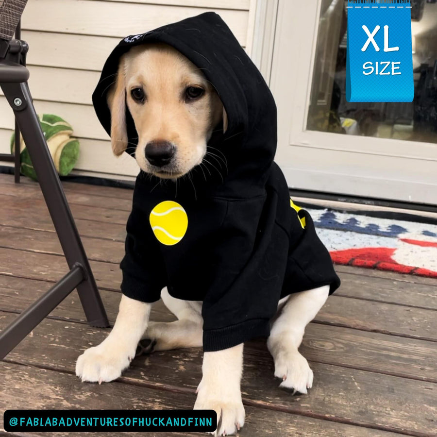 Dog Hoodie - Hoodies For Dogs - Yellow Lab Puppy wearing Ball Brain dog hoodie with hood on - black with yellow ball sitting outside on a deck - Wag Trendz