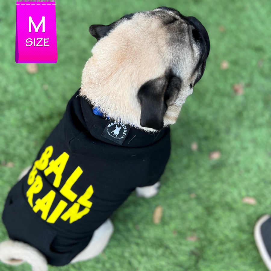 Dog Hoodie - Hoodies For Dogs - Pug wearing Ball Brain dog hoodie - black with yellow writing - sitting outdoors in the grass- Wag Trendz