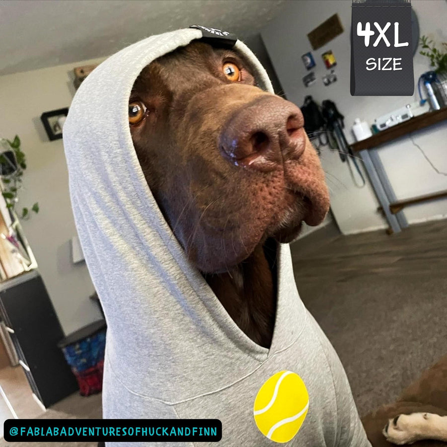 Dog Hoodie - Hoodies For Dogs - Chocolate Lab wearing Ball Brain dog hoodie - gray with yellow ball on front - sitting indoors - Wag Trendz