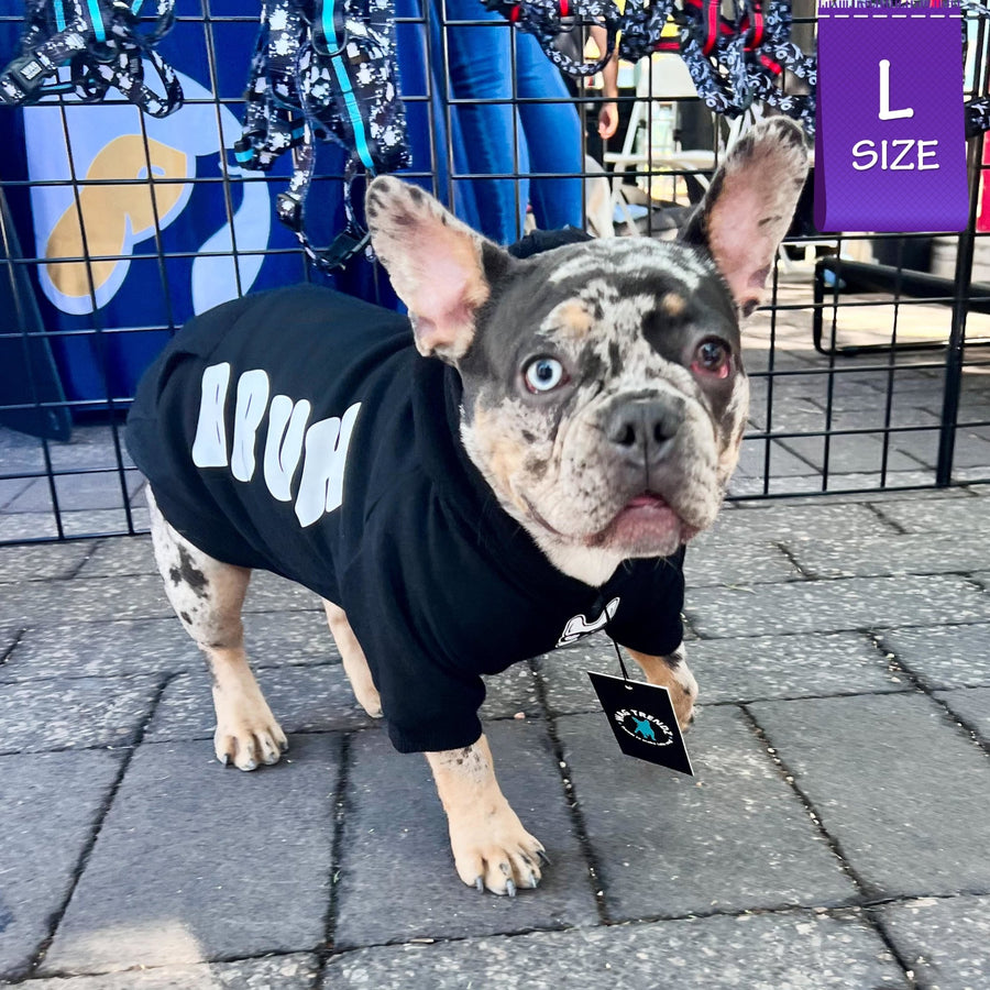 Dog Hoodie - Hoodies For Dogs - French Bulldog wearing "BRUH" dog hoodie in black with smirk faced Frenchie Bulldog with sunglasses on the front in white - standing outdoors on concrete pavers - Wag Trendz