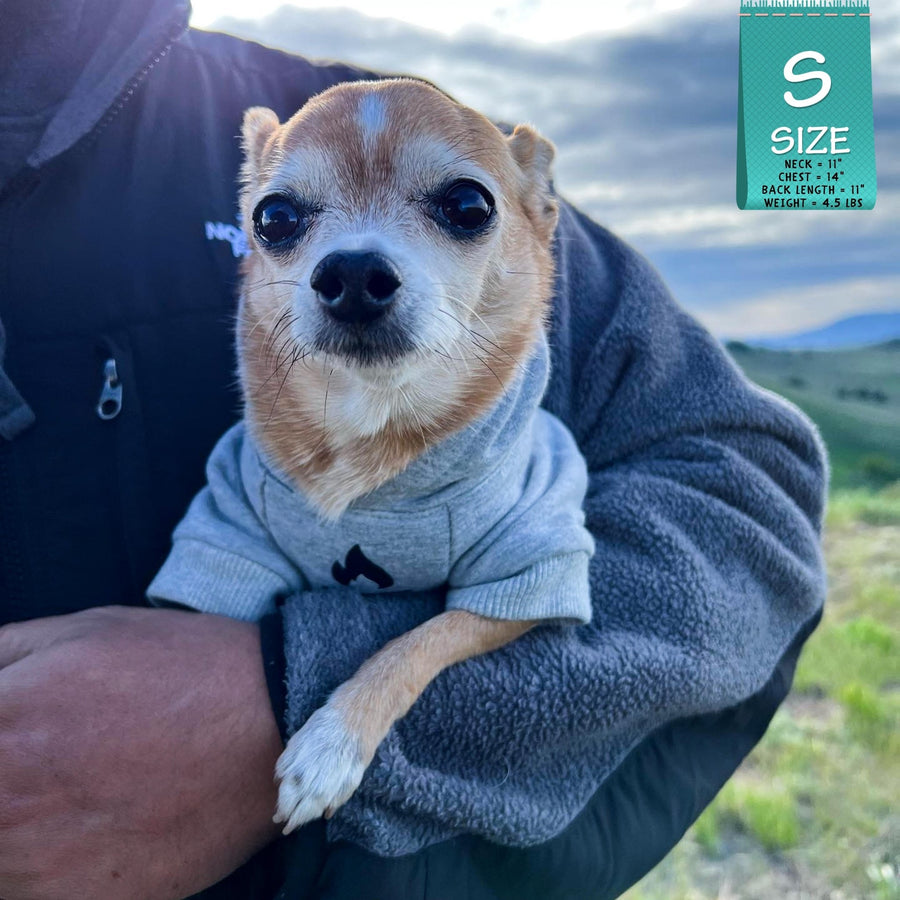 Dog Hoodie - Hoodies For Dogs - Chihuahua wearing "Happy Camper" dog hoodie in gray - campfire emoji on front chest - being held by a human outdoors - Wag Trendz