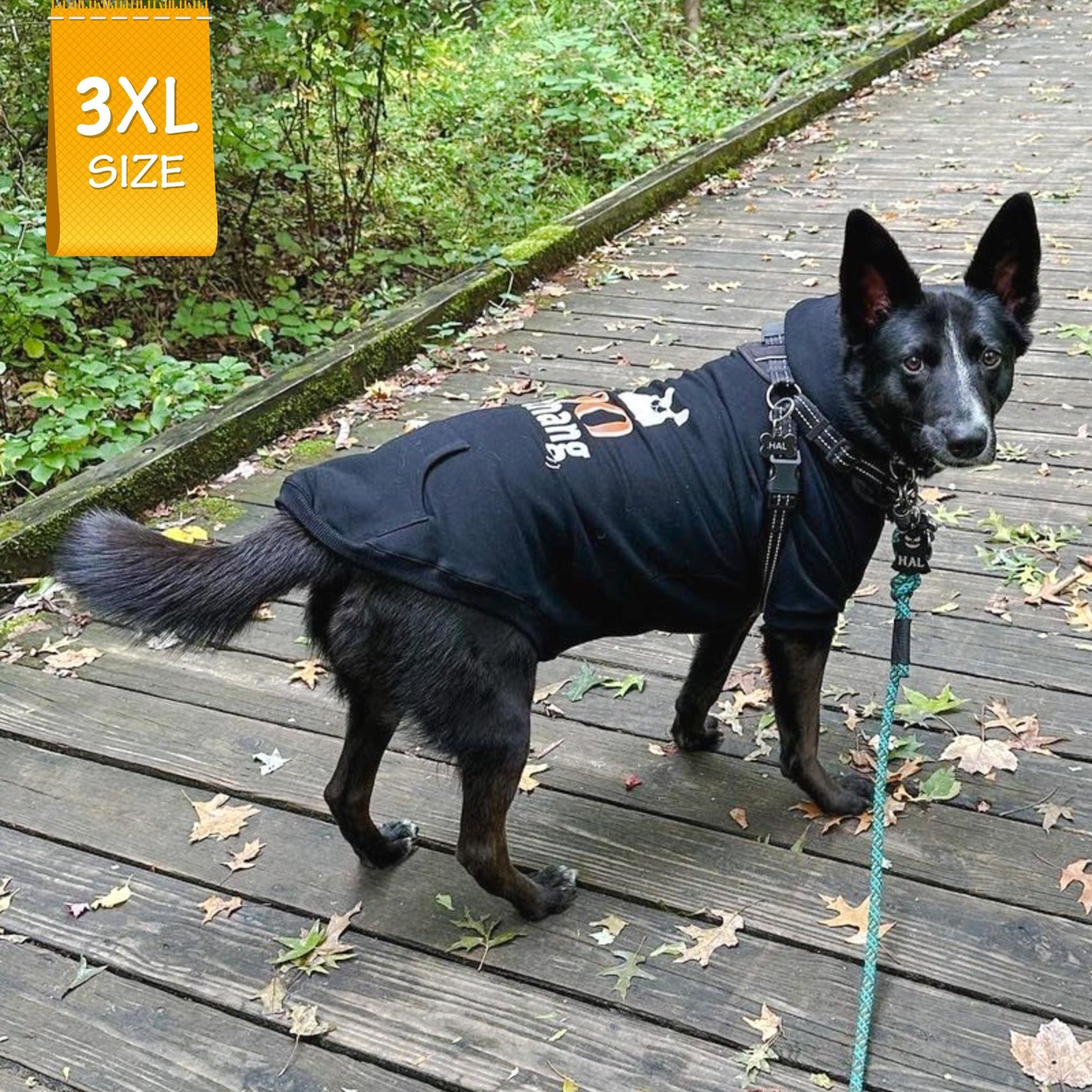 Dog Hoodie - Hoodie For Dogs - Large Dog wearing &quot;Shake Your Boo Thang&quot; dog hoodie in black - walking outdoors on a boardwalk - Wag Trendz