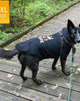 Dog Hoodie - Hoodie For Dogs - Large Dog wearing "Shake Your Boo Thang" dog hoodie in black - walking outdoors on a boardwalk - Wag Trendz