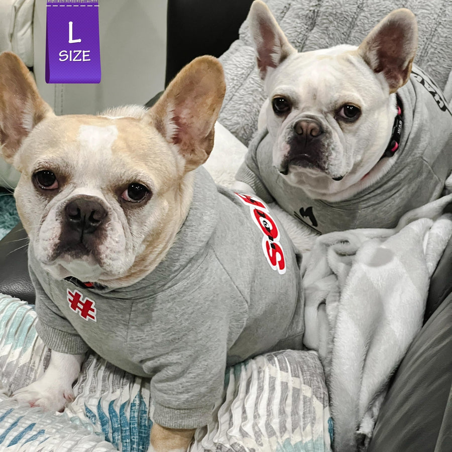 Dog Hoodie - Hoodies For Dogs - French Bulldogs wearing "Sorry Not Sorry" dog hoodie in gray - front view has a # outlined in red - sitting on the sofa - Wag Trendz