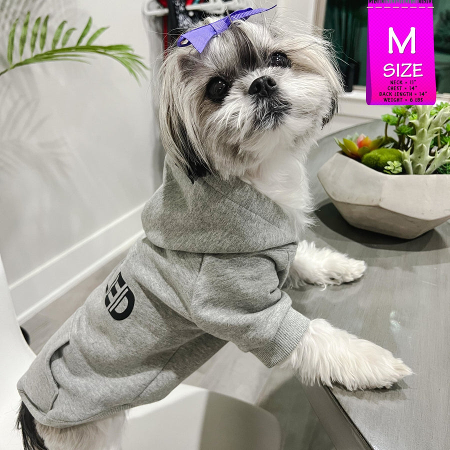 Dog Hoodie - Hoodies For Dogs - Shih Tzu wearing “SPOILED” dog hoodie in gray - side view with SPOILED in black lettering - indoors standing at the table - Wag Trendz