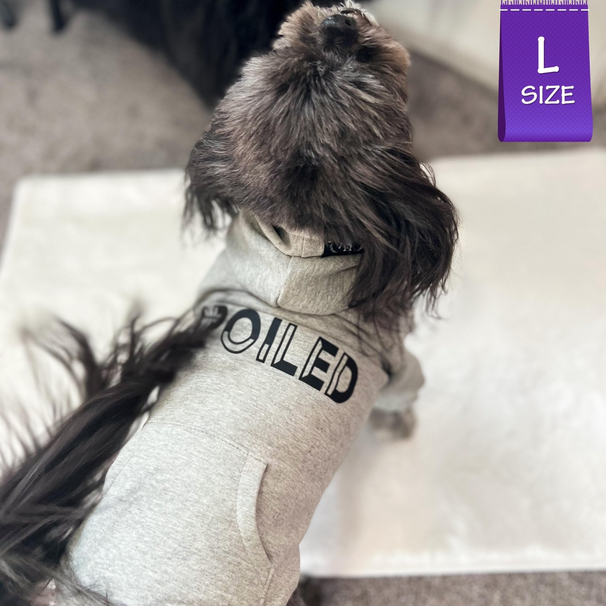 Expensive and Difficult Dog Hoodie Boujee Spoiled 