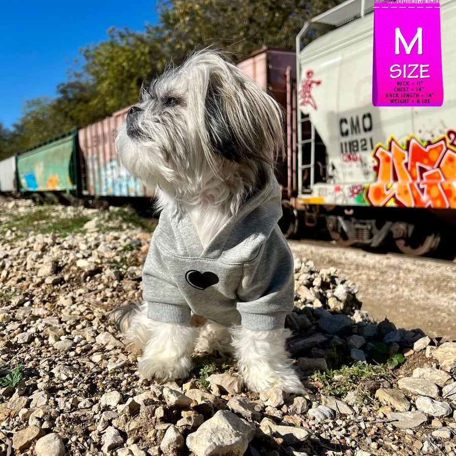 Dog Hoodie - Hoodies For Dogs - Small dog wearing “SPOILED” dog hoodie in gray - front chest has a solid black heart emoji - outdoors with graffiti train cars in background - Wag Trendz