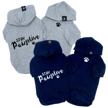 Dog Hoodie - Hoodies For Dogs - "Stay Pawsitive" dog hoodies in gray and black sets - back view Stay Pawsitive with paw print front view with paw print - against solid white background - Wag Trendz