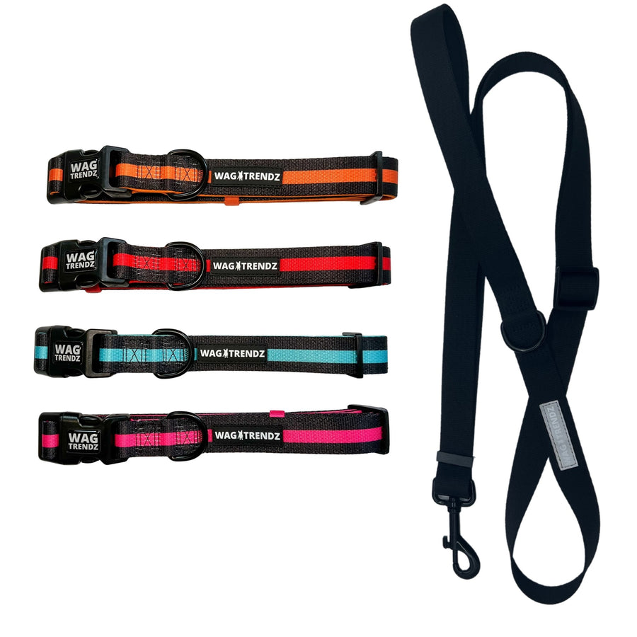 Dog Leash and Collar Set - Four Black Dog Collars with bold Orange, Red, Teal and Hot Pink Stripes with solid black adjustable leash - against solid white background - Wag Trendz