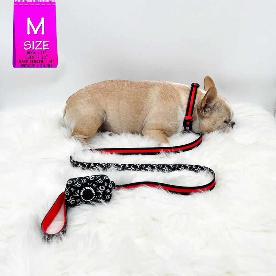 Dog Leash and Collar Set - French Bulldog wearing black nylon dog collar with bold red stripe with matching XO leash and poo bag holder attached - against solid white background - Wag Trendz