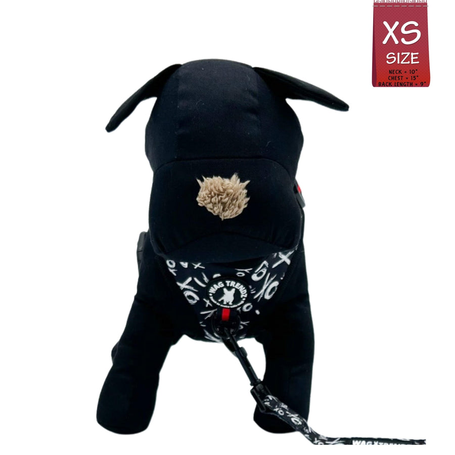 Dog Leash and Harness Set - Stuffed black dog wearing XS Dog Harness Vest with black and white XO's with bold red accents - matching leash attached - against solid white background - Wag Trendz