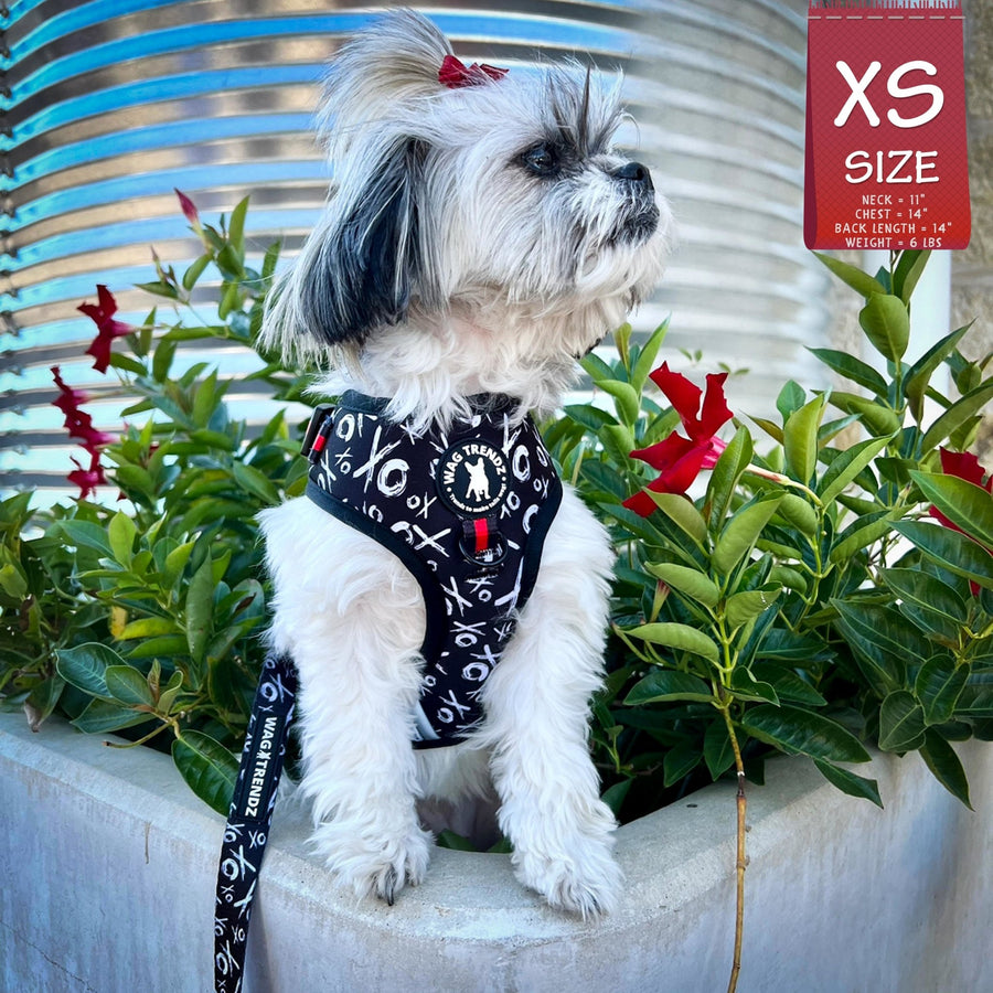 Dog Leash and Harness Set - Shih Tzu mix wearing XS Dog Harness Vest with black and white XO's with bold red accents and matching leash attached - standing outdoors with red and green flowers in front of metal silos - Wag Trendz