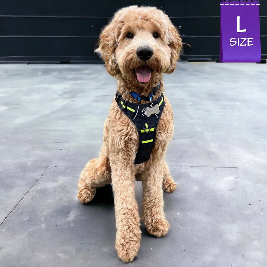Dog No Pull Harness - with handle - Golden Doodle wearing black and gray camo no pull harness with high visibility accents - sitting outdoors on concrete with black door in background - Wag Trendz