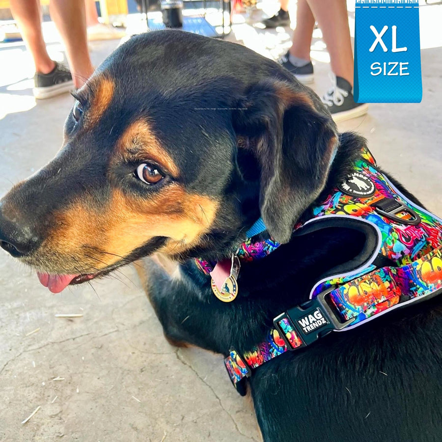 Dog No Pull Harness - with Handle - Coonhound wearing multi colored Street Graffiti no pull harness - sitting outdoors - Wag Trendz