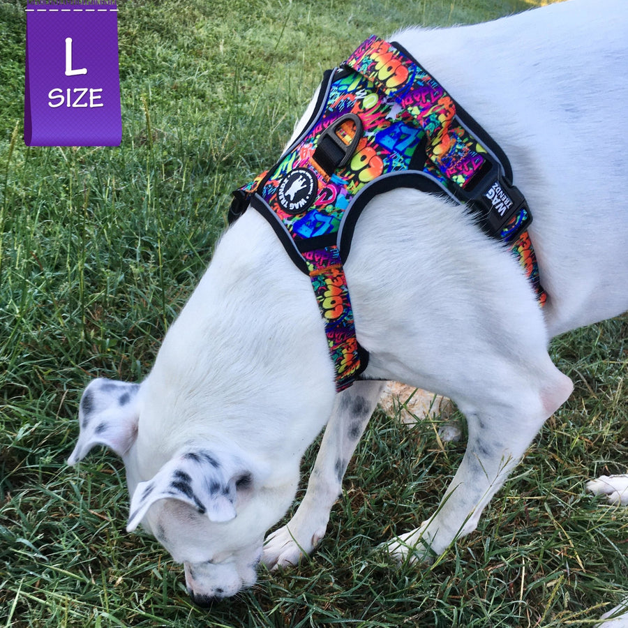 Dog No Pull Harness - with Handle - Pit Bull mix wearing the multi colored Street Graffiti no pull harness - sniffing the grass outside - Wag Trendz