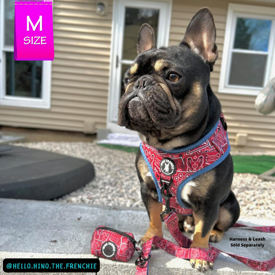 Dog Poo Bag Holder - French Bulldog wearing Bandana Boujee dog harness with matching leash and dog poo bag holder attached - Red with black zipper and black rubber logo dispenser on front - sitting outdoors with brown house in background - Wag Trendz