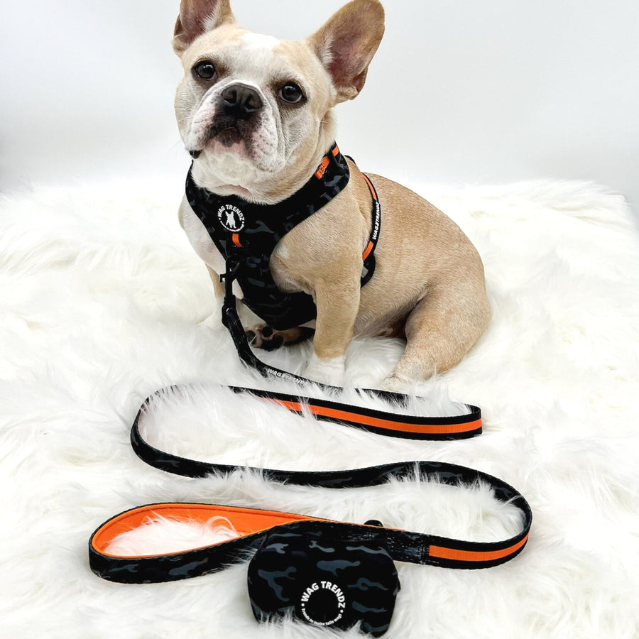 Dog Poo Bag Holder - French Bulldog wearing black and gray Camo Chic with orange accents and matching leash and poo bag holder attached - against solid white background - Wag Trendz