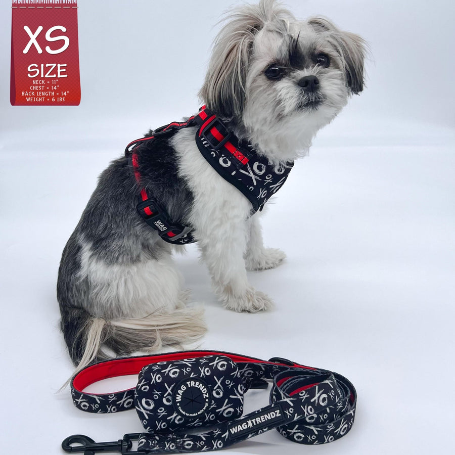 Dog Poo Bag Holder - Shih Tzu wearing black & white XO pattern harness with matching leash and poo bag holder - Hugs & Kisses XO- against white background -Wag Trendz