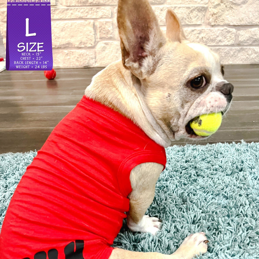 Dog T-Shirt - French Bulldog wearing "Bruh" dog t-shirt in Red - back view with BRUH spelled in black on red t-shirt - sitting indoors on a teal rug with a yellow tennis ball in mouth - Wag Trendz