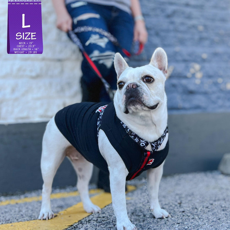 Dog T-Shirt - French Bulldog wearing "Sorry Not Sorry" black dog t-shirt with red and white hashtag emoji on chest and red and white lettering on back - standing outdoors in a parking lot wearing XO H harness and matching leash in black, white and red - Wag Trendz