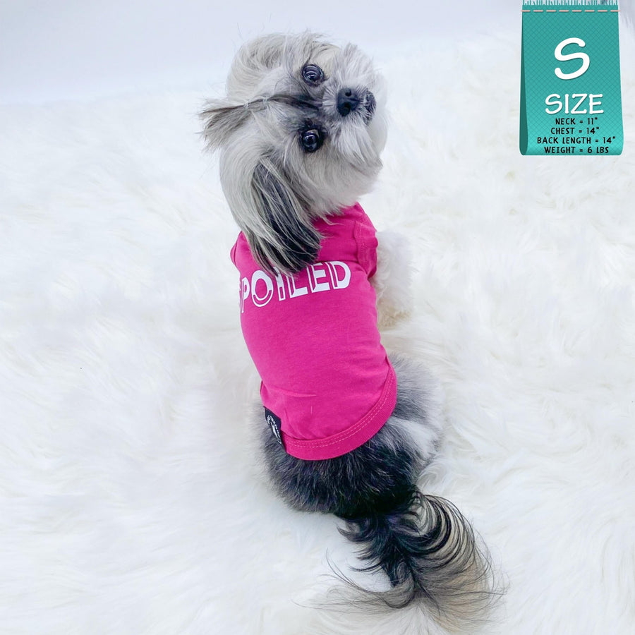 Dog T-Shirt - Shih Tzu mix wearing "Spoiled" dog t-shirt in hot pink with SPOILED lettering in white - against solid white background - Wag Trendz