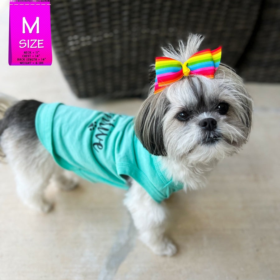 Dog T-Shirt - Shih Tzu mix wearing "Stay Pawsitive" teal dog t-shirt - with "Stay Pawsitive" lettering in black on back and a paw print emoji in black on chest - standing outdoors on a patio and wearing a colorful bow in her hair  - Wag Trendz