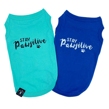 Dog T-Shirt - "Stay Pawsitive" - Teal and Royal Blue dog t-shirts - Stay Pawsitive lettering in black with paw print on teal t-shirt and white lettering on blue t-shirt - against solid white background - Wag Trendz