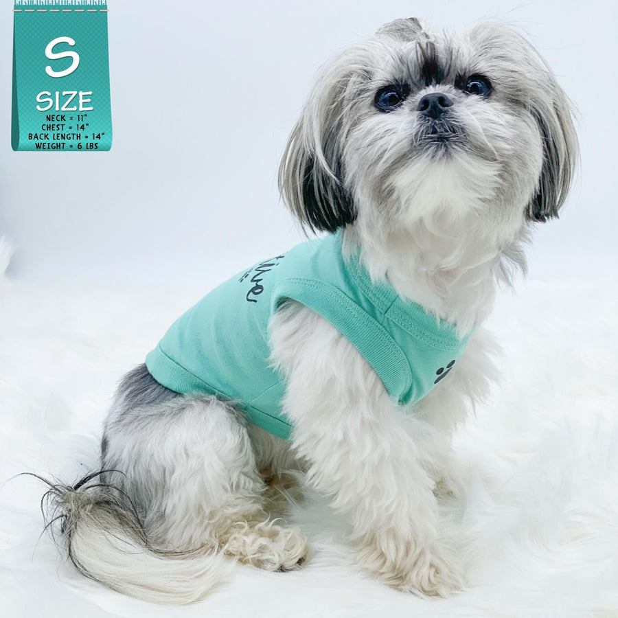 Dog T-Shirt - Shih Tzu mix wearing "Stay Pawsitive" teal dog t-shirt - with "Stay Pawsitive" lettering in black on back and a paw print emoji in black on chest - against solid white background - Wag Trendz