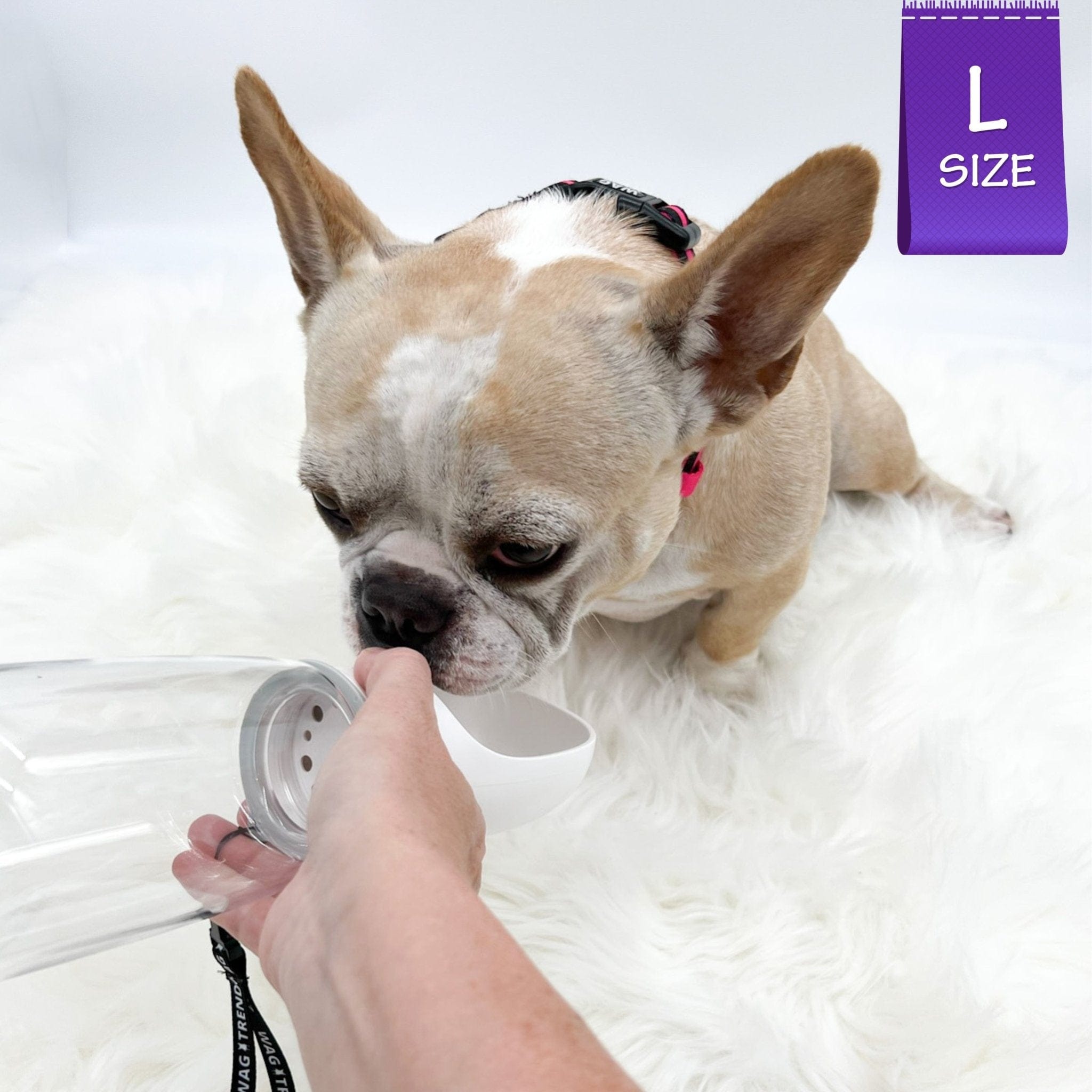 Dog Portable Water Bottle - Great For Walks | Wag Trendz®