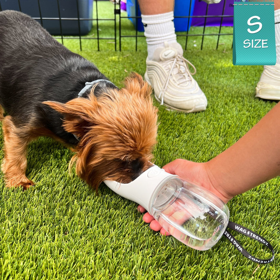 Dog Portable Water Bottle - Yorkie drinking dog portable water - outdoors in the grass - Wag Trendz