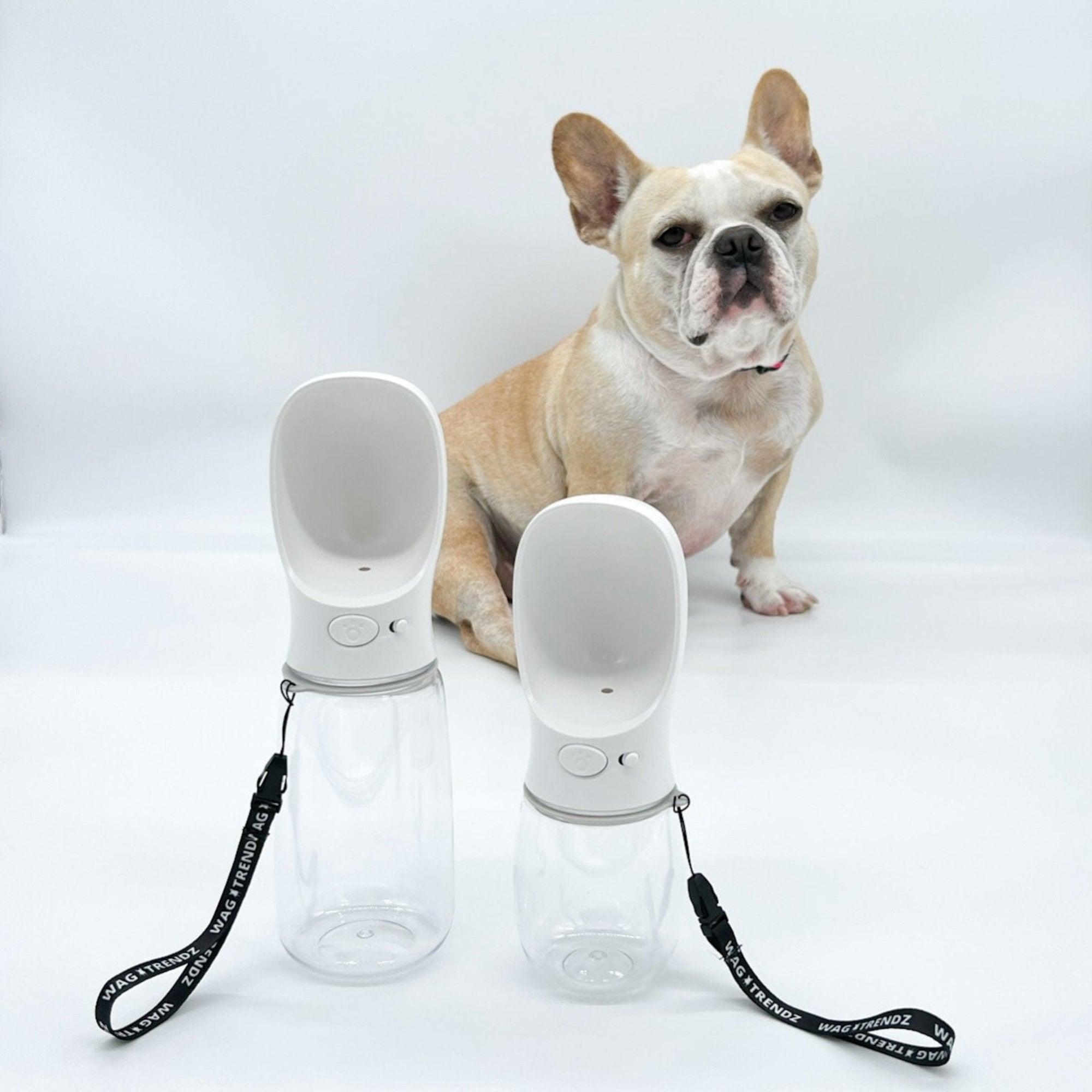 Good Dog Water Bottle: Keep Pups Hydrated on Adventures