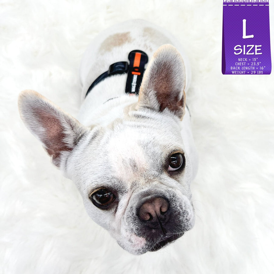 H Dog Harness - Roman Dog Harness - Frenchie Bulldog wearing large black and gray camo H harness with bold orange accents - against solid white background - Wag Trendz