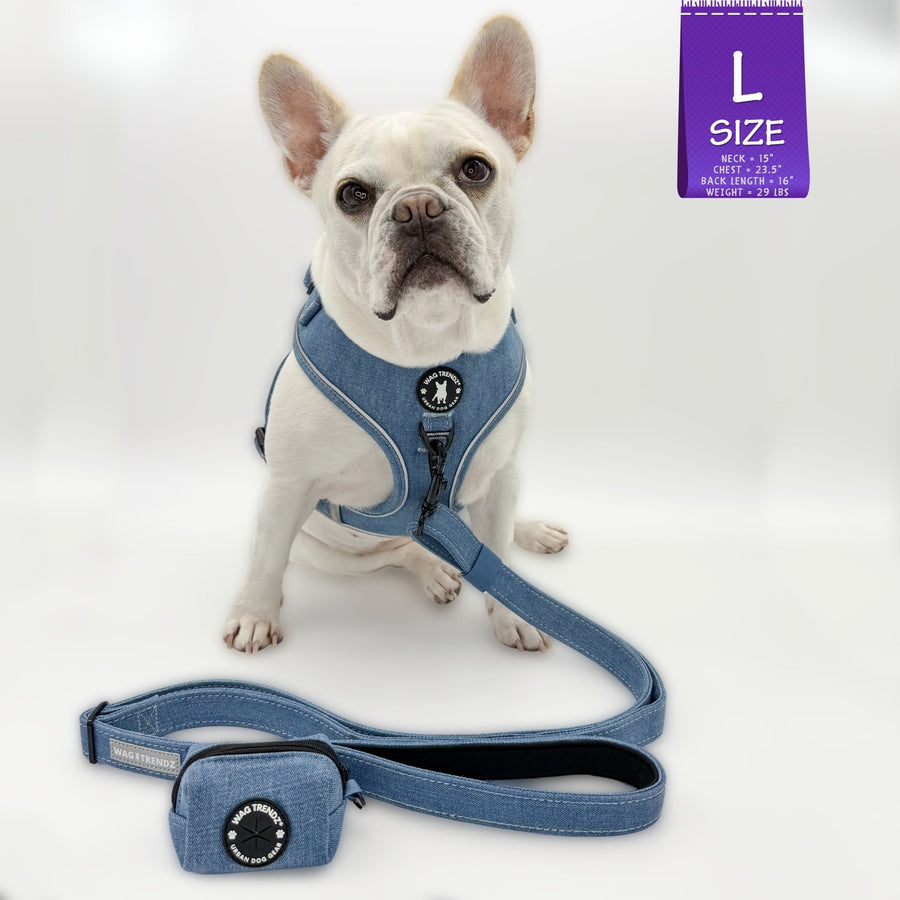 Harness and Leash Set + Poop Bag Holder - French Bulldog wearing a large Downtown Denim Dog Harness with matching denim dog leash and poop bag holder attached - against a solid white background - Wag Trendz