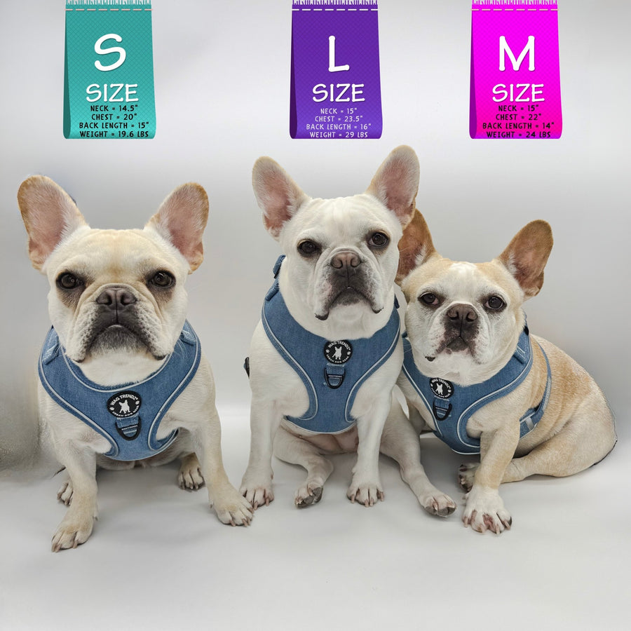Harness and Leash Set + Poop Bag Holder - French Bulldogs wearing Downtown Denim Dog Harnesses - against a solid white background - Wag Trendz