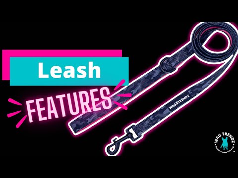 Dog Leash and Collar Set - product feature video of dog leashes - Wag Trendz