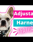 Dog Harness Vest - product feature video of dog harness features - Wag Trendz