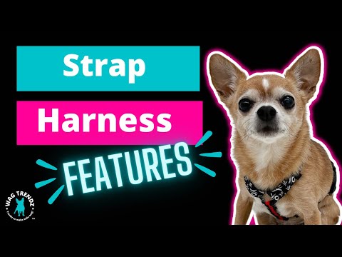Dog Harnesses Small - Video of dog strap harness features - Wag Trendz