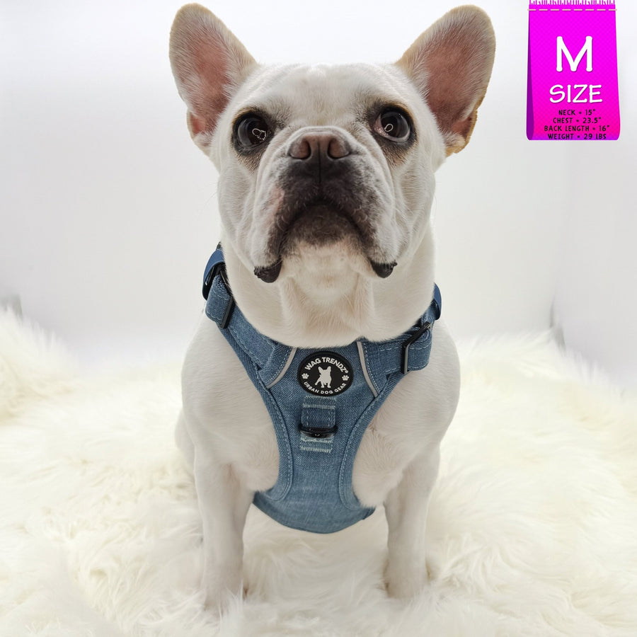 No Pull Dog Harness and Least Set - French Bulldog wearing a Medium Downtown Denim Dog Harness with Handle - against solid white background - Wag Trendz