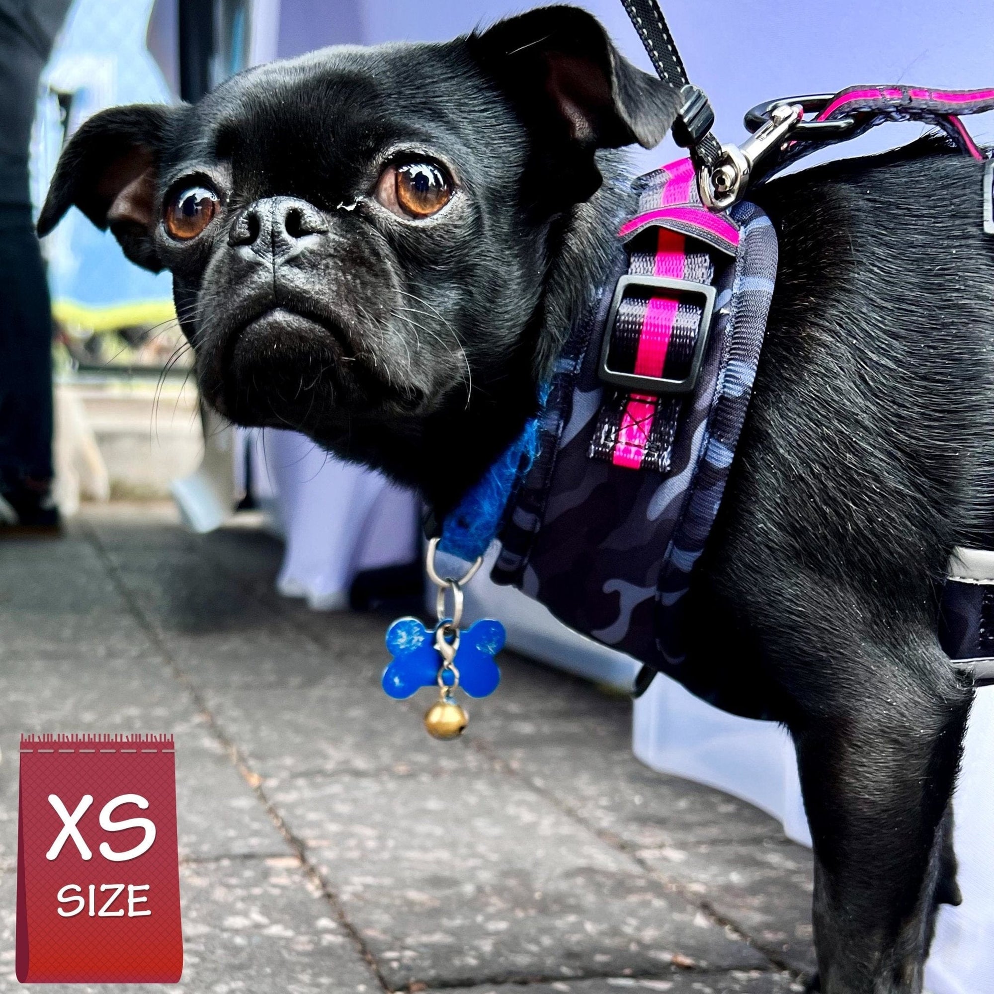 No Pull Dog Harness Camo Pink Wag Trendz®1