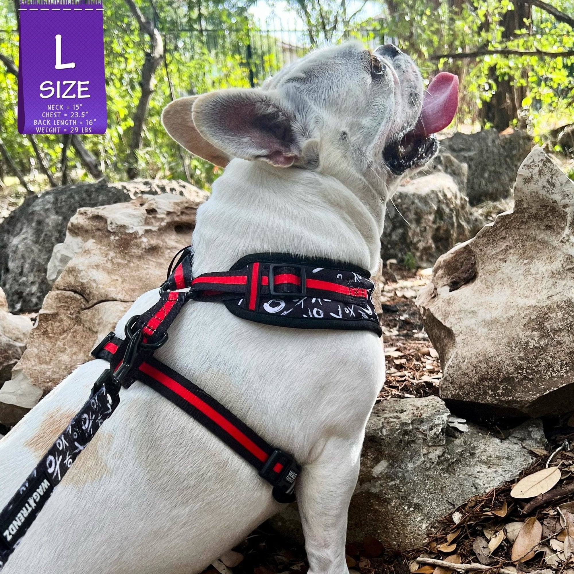 No Pull Dog Harness XO Hugs Kisses Wag Trendz®