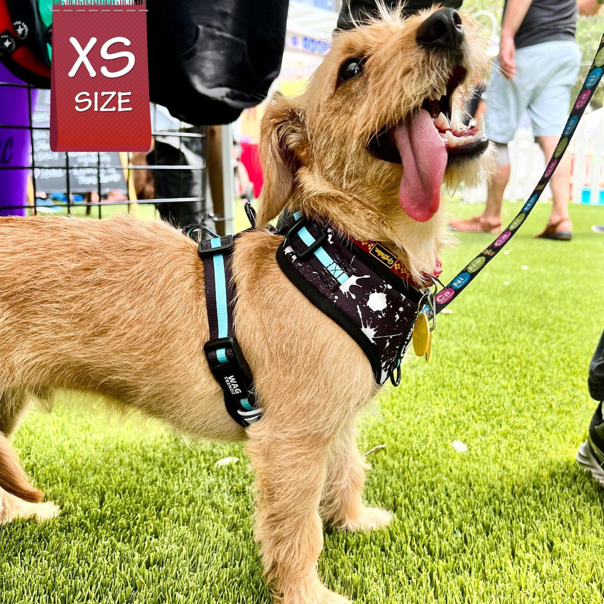 How to Put on No Pull Dog Harness: Quick Guide